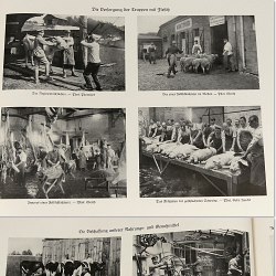 WW1 Photo Book w/120 wartime pics, daily life behind the fronts