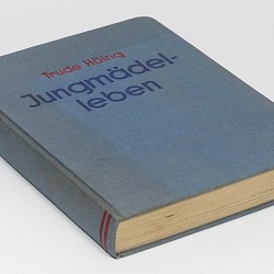 BDM Jungmadel Book II German girl's life 1930s Bund Deutscher Madel JM