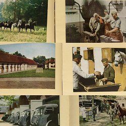 Wehrmacht WW2 Horse Hospital and Breed Book 1943 w/80 color photos