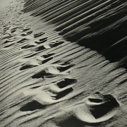 Sand Dunes 1940s Photo Book by Erna Lendvai Dircksen Prussia Lithuania Pomerania